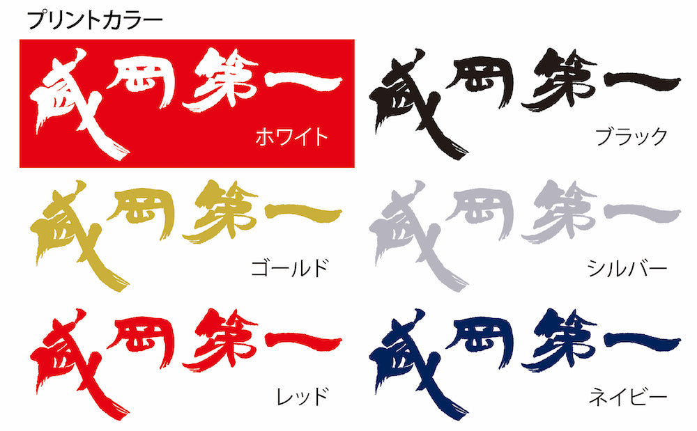 盛岡第一高校ハンドボール部 クラブロングTシャツ